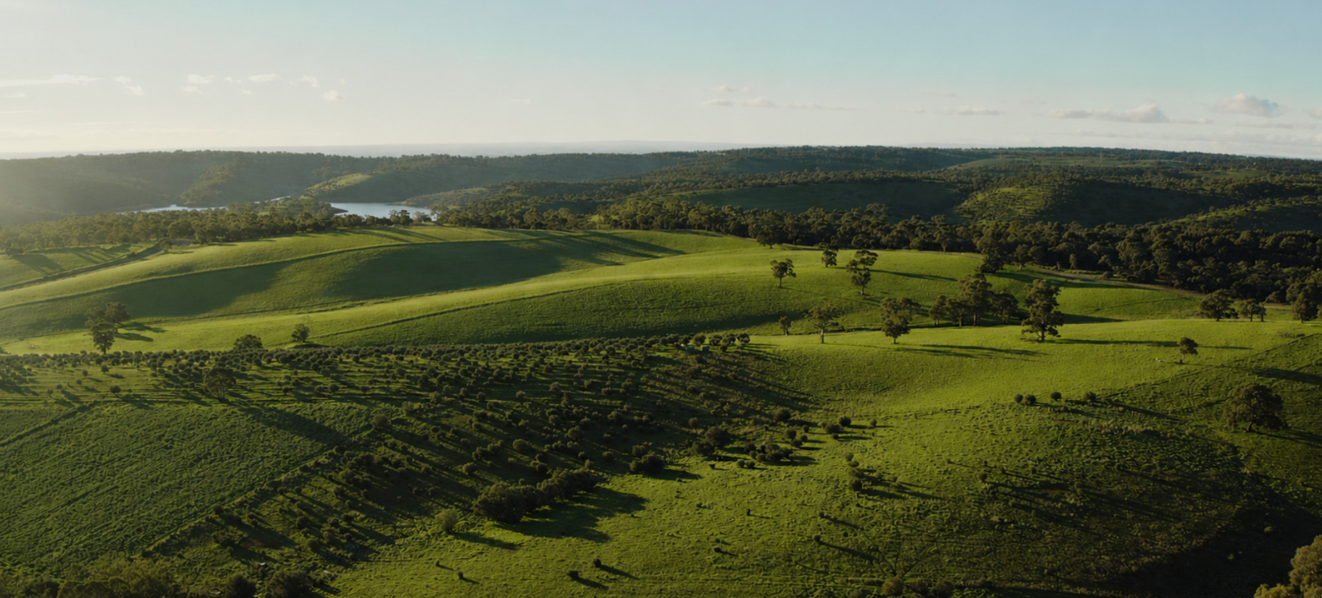 Aerial view of green hills and a reservoir near Golden Grove