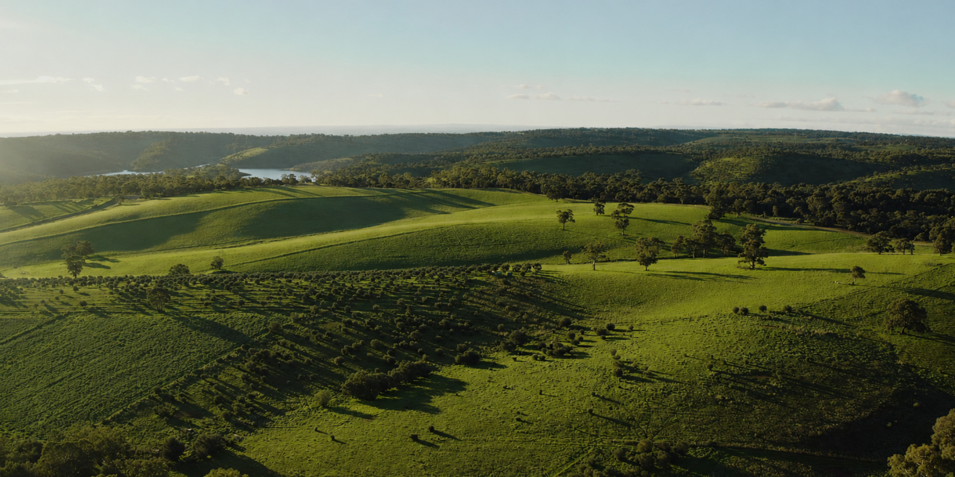 Aerial view of green hills and a reservoir near Golden Grove