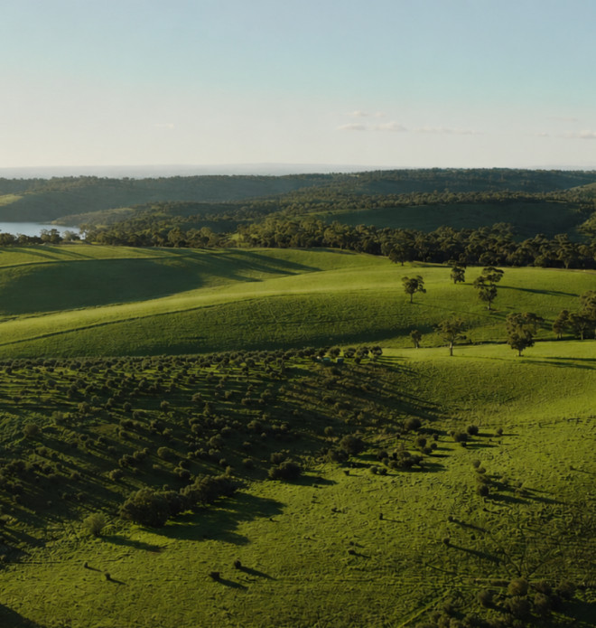 Aerial view of green hills and a reservoir near Golden Grove