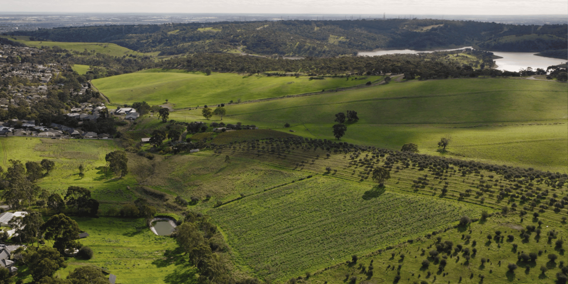 Aerial view of farmland and a reservoir near Golden Grove